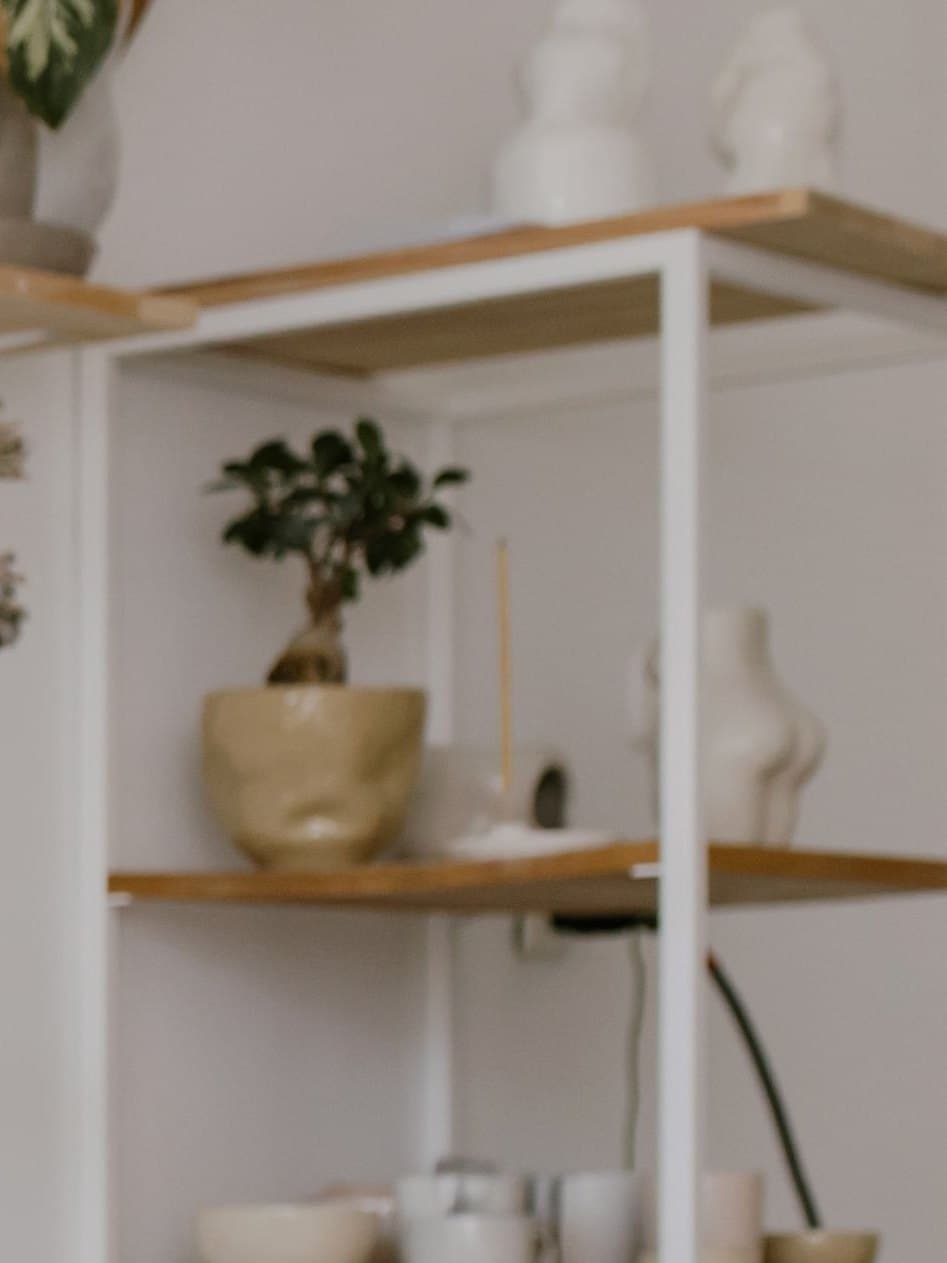 Prateleiras de um ateliê de cerâmica, com vasos, tigelas e uma planta, sem ninguém.